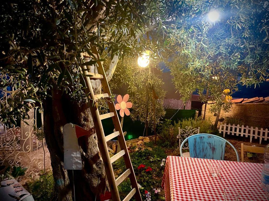 萨沃卡 La Casina Di Venere酒店 外观 照片